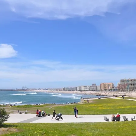 아파트 Seaside Comfy Flat 마토지뉴스